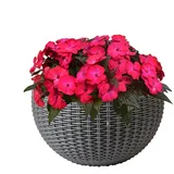 Generisch Wandblumentopf - Rattan-Imitat Blumentopf Für Die Wand,Pflanzgefäß Elegant Halbrund Deko Für Orchideen Begonien Petunien