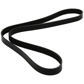 DAYCO Keilrippenriemen