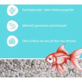 Schicker Mineral Aquarienkies weiß 25 kg
