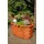 Deko-Shop-Hannusch Pflanzkasten, Blumenkasten, Blumenkübel aus massivem Holz, für den Garten, (ohne Blumen)