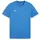 Puma teamGOAL Casuals T-Shirt blau XXL