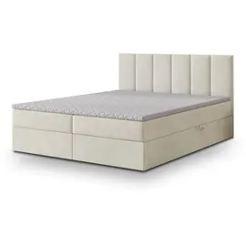 masseno Meril 160 x 200 cm Creme