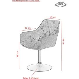 HELA Tische Apollo BIRTE Armlehnenstuhl,Sessel, Legierter Stahl, Anthrazit, 2er Set