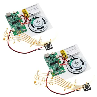 USB Soundmodul AYWHP 2PCS Musik Sprachaufzeichnungsmodul mit Lautsprecher MP3 USB Kabel Aufladbarer Akku, Top Lautsprecher für DIY Karten, Geschenke, Spielwaren, selbst gestalten