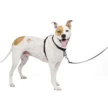 PetSafe 3-in-1 Geschirr, Hundegeschirr mit Rückhaltegurt, Reduziert Ziehen und Druck auf die Kehle, Größe M, Schwarz