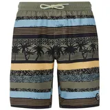 Protest Kinder Badeshorts PRTFRISBY JR Artichoke green, 176