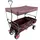 FUXTEC Fuxlife Einsteiger Bollerwagen FX-CT350 Braun