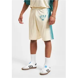 Ecko Unltd. Faded Soccer Short - grün),