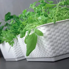 Prosperplast Blumenkasten 49 x 15,5 x 17,5 cm Anthrazit Komplettset