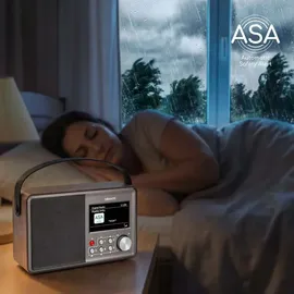Albrecht DR862 Braun/Silber