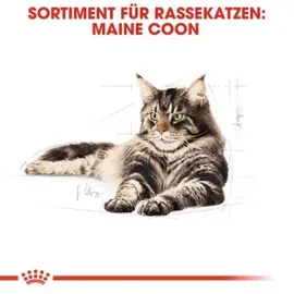 Royal Canin Adult Maine Coon 4 kg