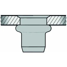 Gesipa Blindnietmutter M6 x 9 x 15,5 mm 250 Stück