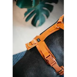 Kentucky Active Velvet Hundehalsband Orange 48-70 cm