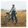 Vaude Trailframe II Rahmentasche schwarz/grau