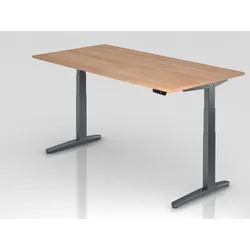 PROREGAL Sitz-Steh-Schreibtisch Pekka | Nussbaum | Graues GestellBxT 200x100cm | Höhe 65-130cm | elektrisch höhenverstellbar | C-Fuß Gestell