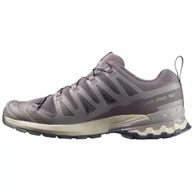 Salomon XA Pro 3D V9 Herren Dark Gull Gray/Cloudburst/Asphalt 46