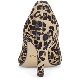 Gabor Pumps in Braun | Gr.: 37
