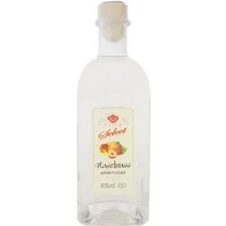 Fies Select Haselnuss 0,5L