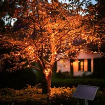 esotec Solar LED-Lichterkette 200 LEDs bernsteinfarben, 20m, winterfest 102569 - Schwarz