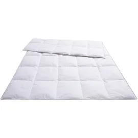 Älgdröm »Sorsele, 200x200cm