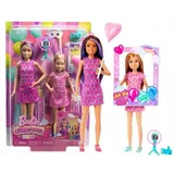 BARBIE CELEBRATION FUN DOLL set of two Skipper and Stacey dolls + acc HKB12