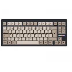 Wooting 80HE ISO + Retro Keycaps