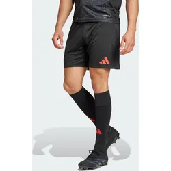 Benfica Lissabon 24/25 Auswärtsshorts L