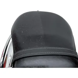Dr. Wack S100 Sitzbank-Pflege, flüssig, Spray 100 ml, UV-Schutz