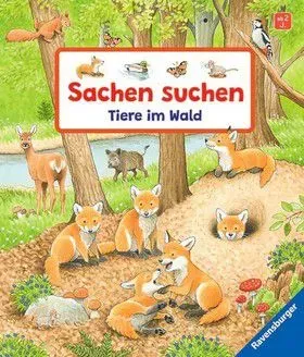 Sachen suchen - Tiere im Wald