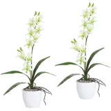 Kunstpflanze Orchidee Dendrobie Orchidee, Creativ green, Höhe 60 cm, im Keramiktopf grün