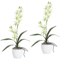 Kunstpflanze Orchidee Dendrobie Orchidee, Creativ green, Höhe 60 cm, im Keramiktopf grün