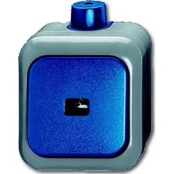 Busch-Jaeger Wipptaster 2621 WDI