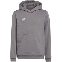 Adidas Entrada 22 Hoodie Kinder grau 164