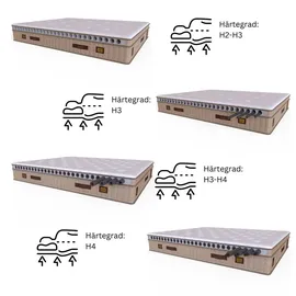 Bambi Boxspringbett 180x200 mit Bettkasten mit Matratzen Comfizone Set Stauraum 7-Komfortzonen Individueller H2-H5