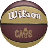 Wilson NBA Team Tribute Cleveland Cavaliers, Outdoor und Indoor, Größe: 7,