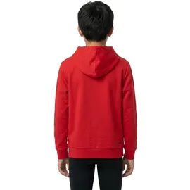Head Racket Hoodie Red 164