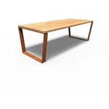 Adezz Gartentisch Serie Mio 230 x 100 x 76 cm Mehrfarbig