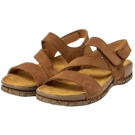 El Naturalista N5860 Unisex Pleasant Wood 44