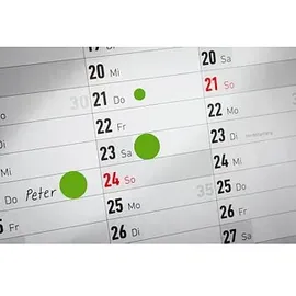 Avery Zweckform Klebepunkte 3855 grün Ø 19,0 mm, 250 St.