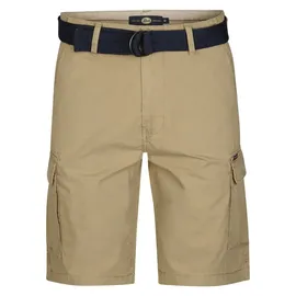 Petrol Industries Shorts in Beige - XL