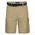 Petrol Industries Shorts in Beige - XL