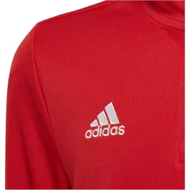adidas Entrada 22 Training Top tepore (AEPU) 152