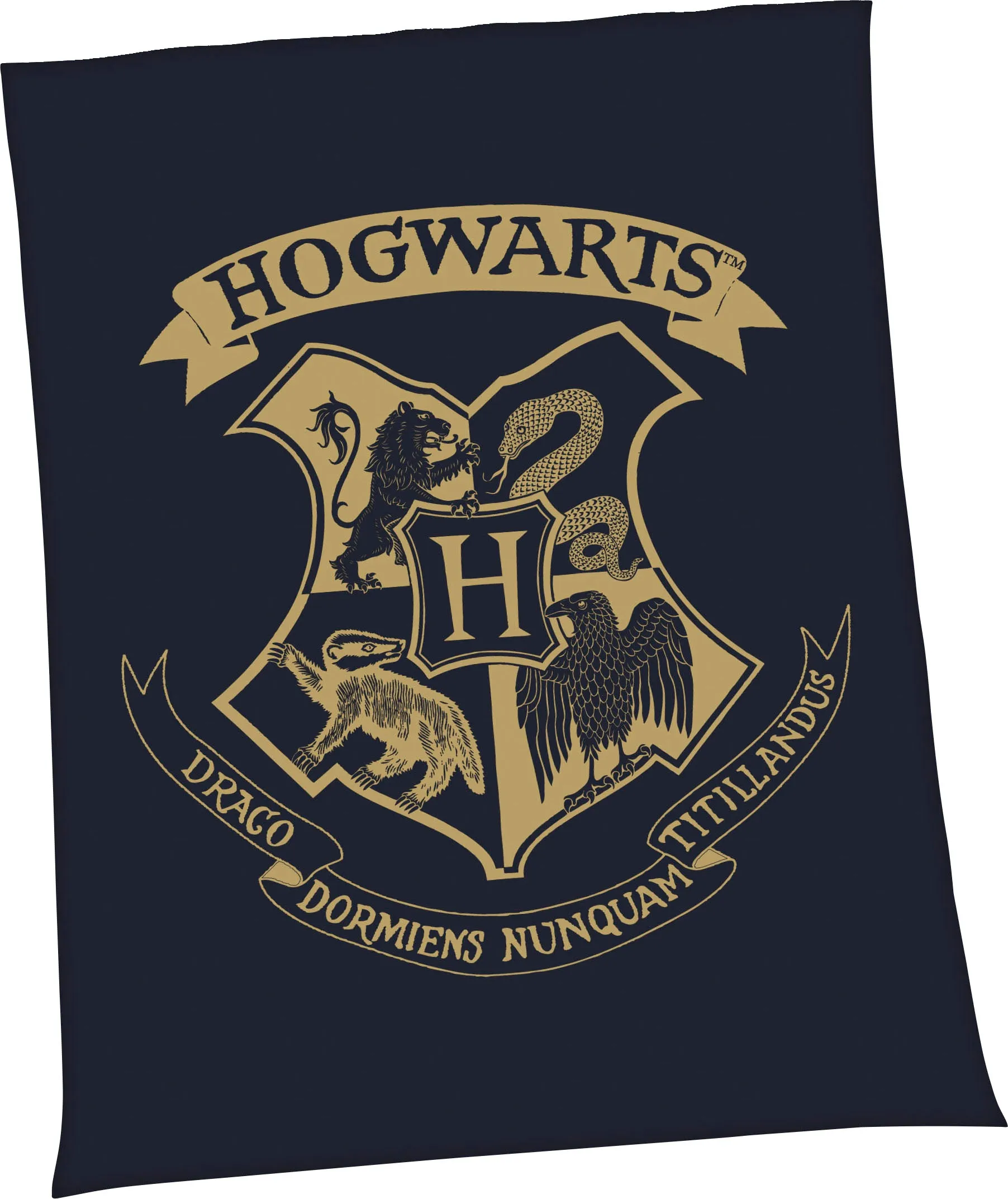 Harry Potter Wohndecke »Harry Potter«, mit tollem Harry Potter Motiv, Kuscheldecke Harry Potter schwarz B/L: 150 cm x 200 cm