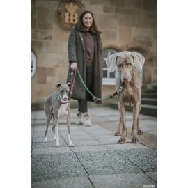 Hunter Dressurhalsung Freestyle Tau bordeaux