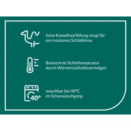 fan Frankenstolz Kamelhaar, Leicht