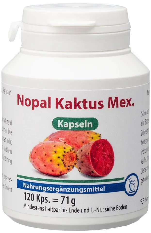 Nopal Kaktus Mex.