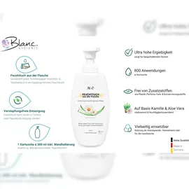 Blanc HYGIENIC Duscherlebnis Komplett-Set 12 x 425 ml, Intim Reinigungsschaum 300 ml