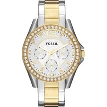 Fossil Riley Edelstahl 38 mm ES3204