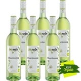 BIOrebe Chardonnay trocken 0,75l