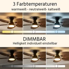GLOBO ELISE 107 cm Deckenventilator Schwarz